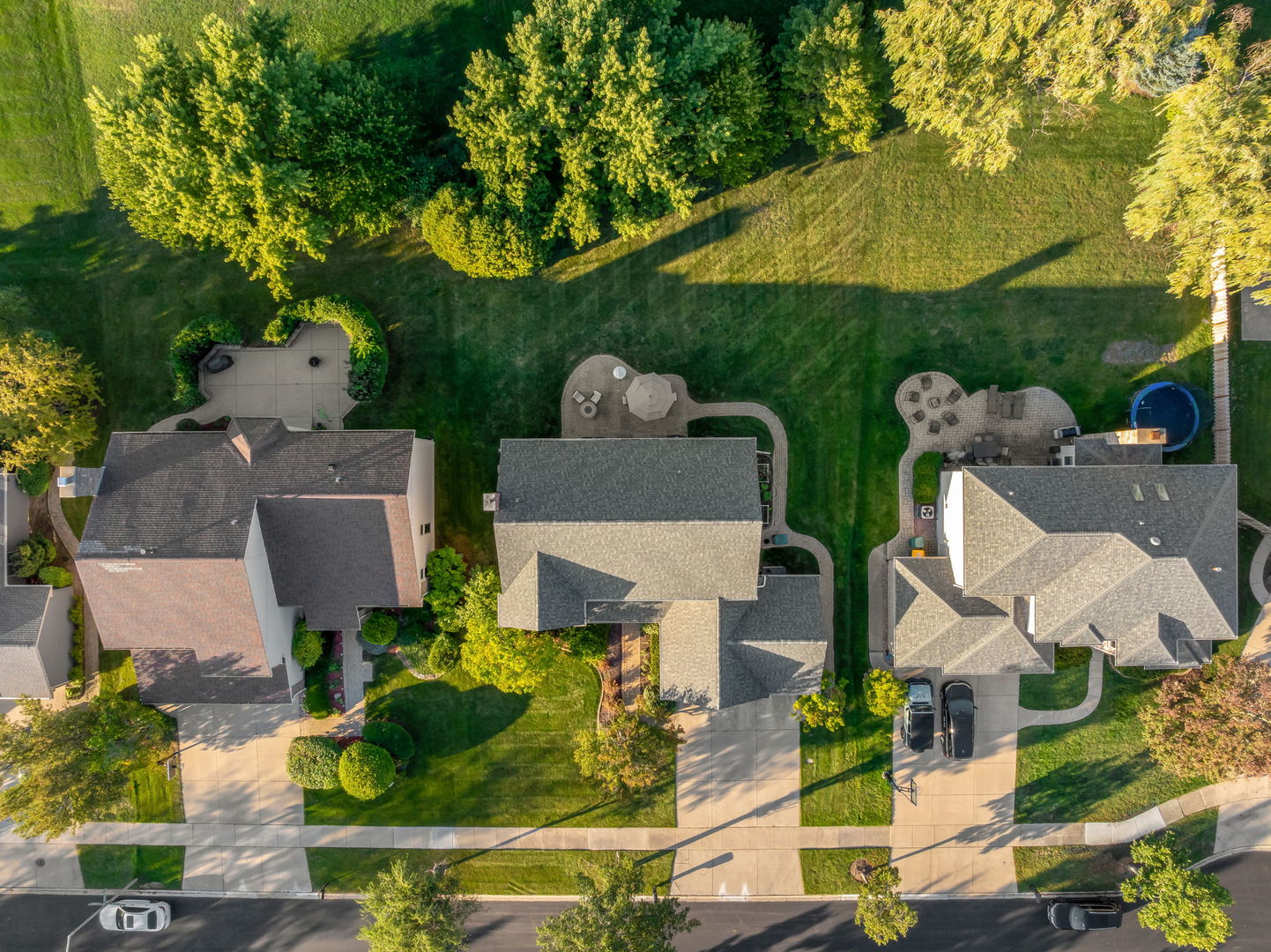 1998 Sheridan Court, Buffalo Grove, IL 60089