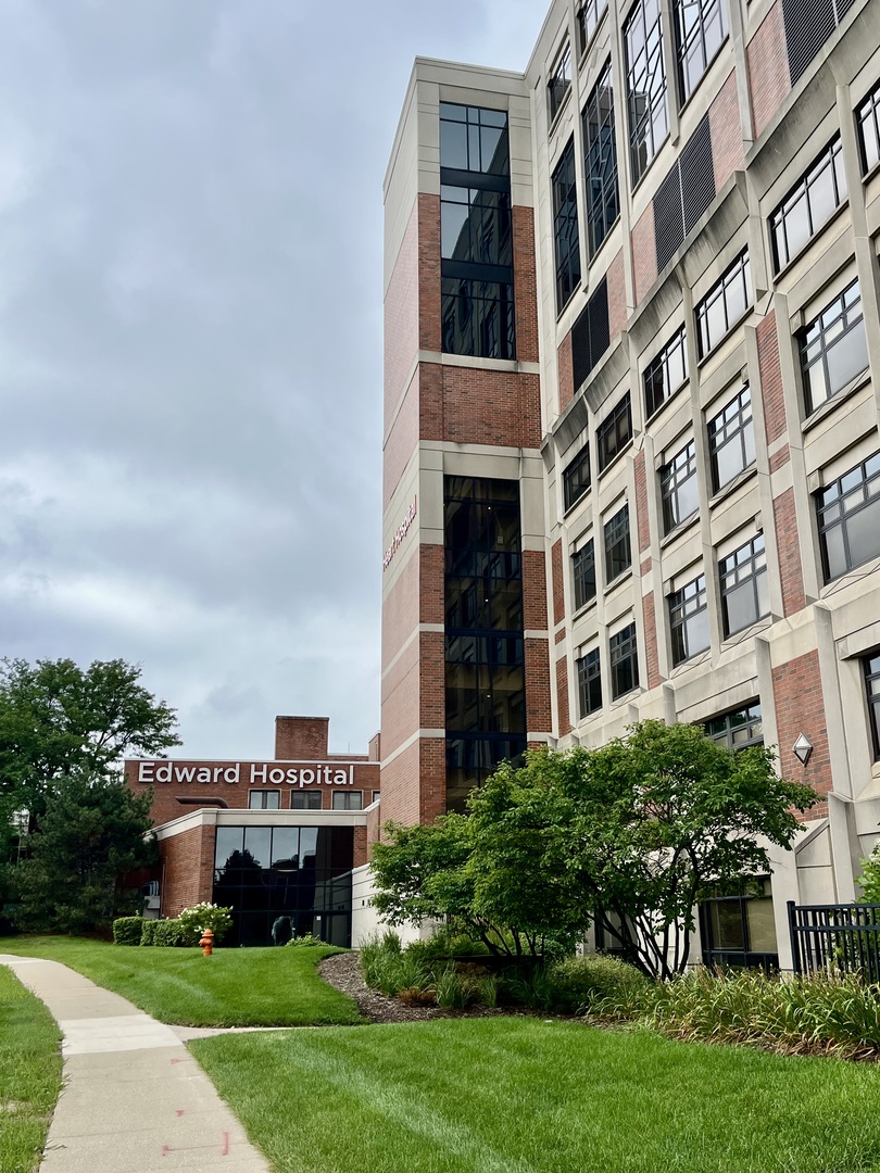 329 E 8th Avenue, Naperville, IL 60563