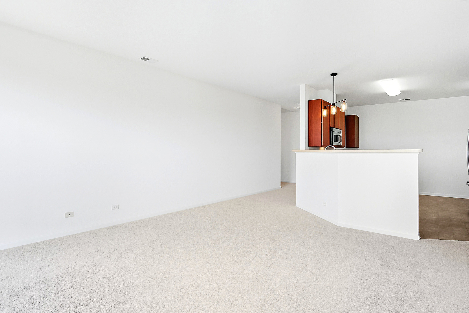 4221 Savoy Lane #28C721, McHenry, IL 60050