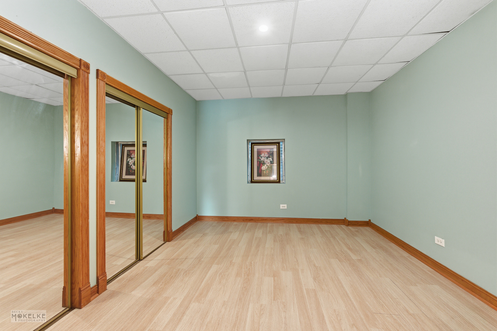 13220 Fox Lane, Lemont, IL 60439