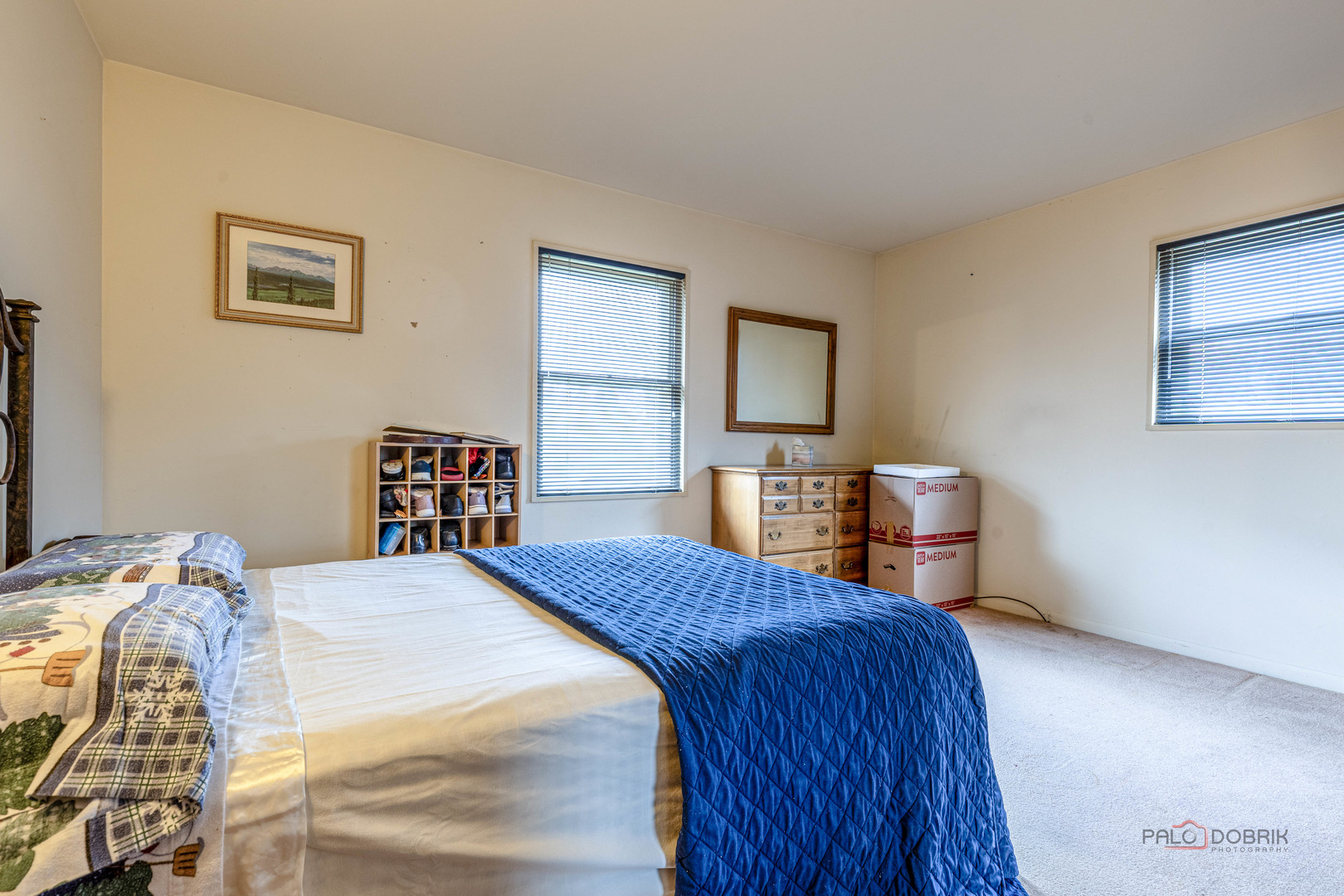 231 Fern Drive, Elk Grove Village, IL 60007