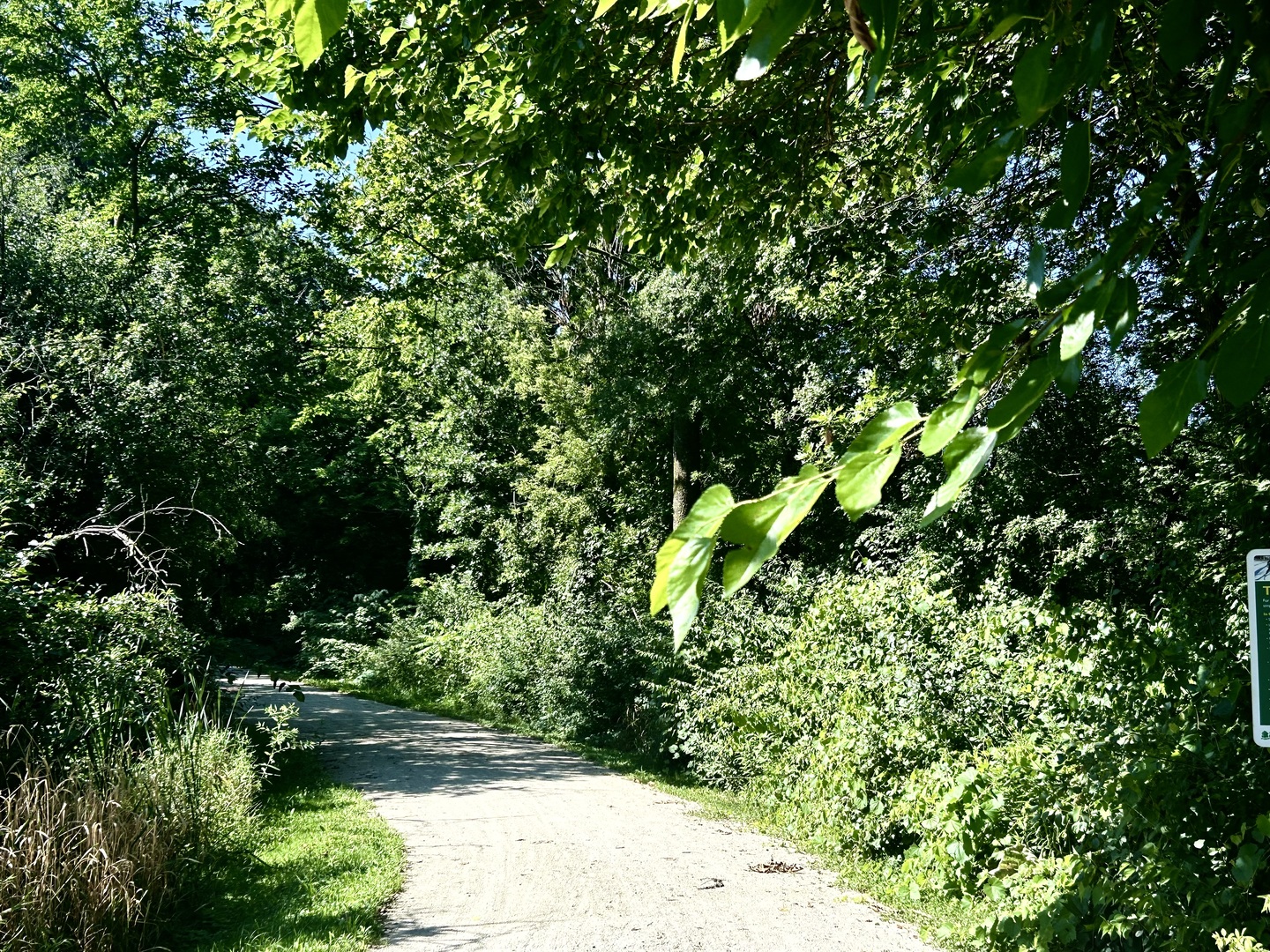 27W229 Providence Lane, Winfield, IL 60190