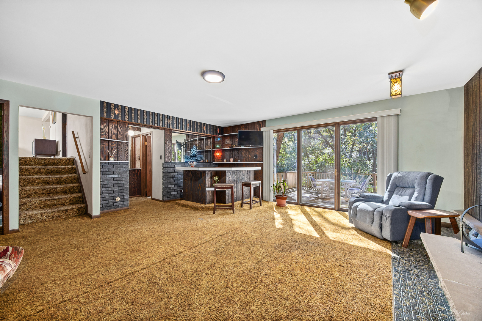 11716 Center Drive, Lemont, IL 60439