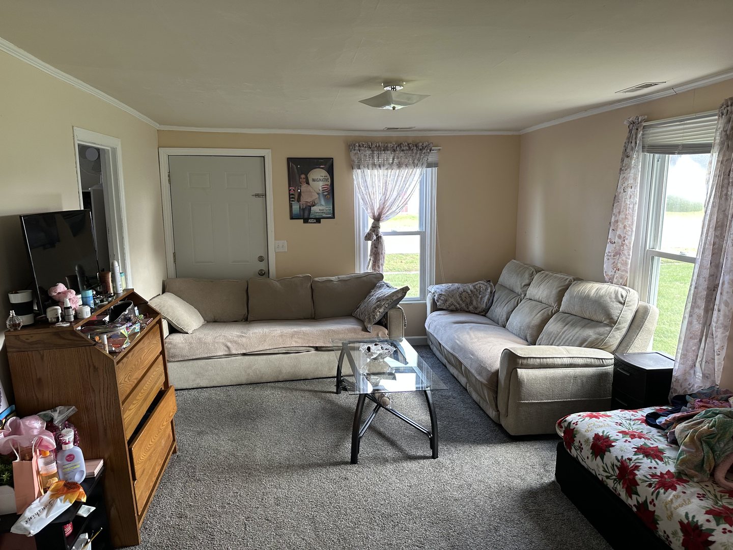 443 W Main Street, Braidwood, IL 60408