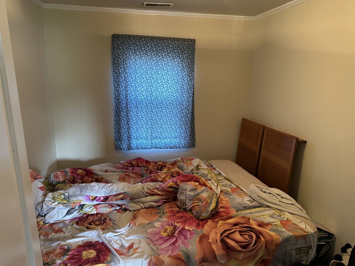 443 W Main Street, Braidwood, IL 60408