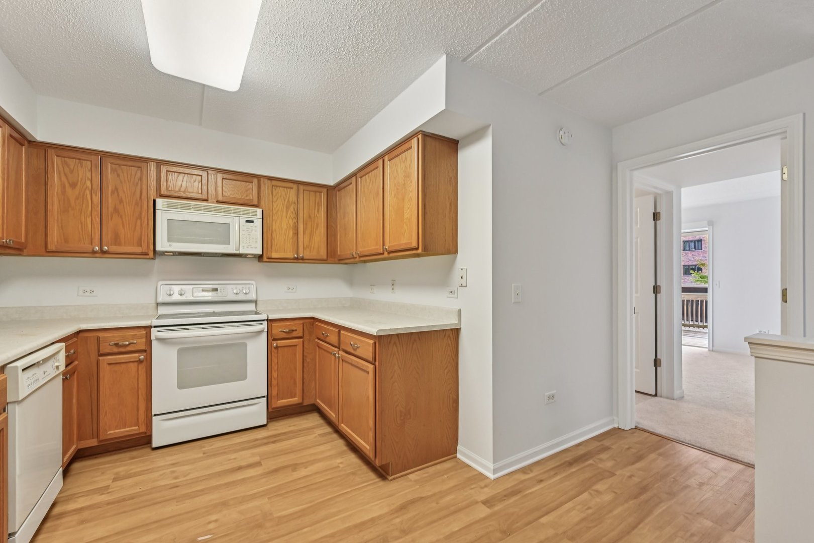 435 William Street #205, River Forest, IL 60305