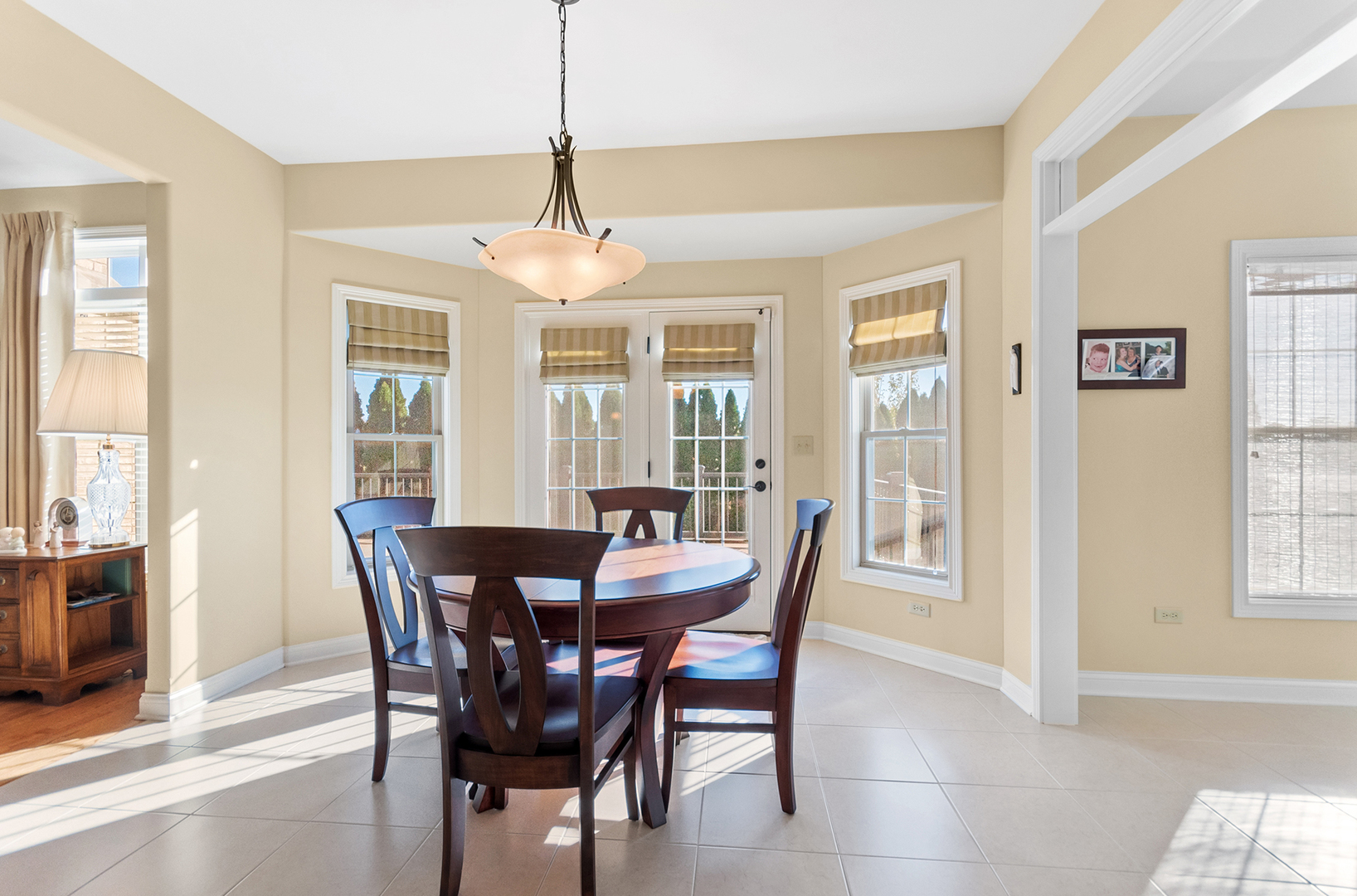 24563 River Crossing Drive, Shorewood, IL 60404