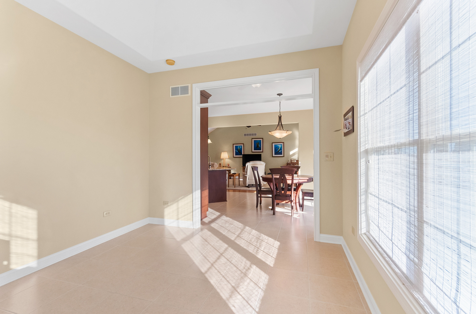 24563 River Crossing Drive, Shorewood, IL 60404