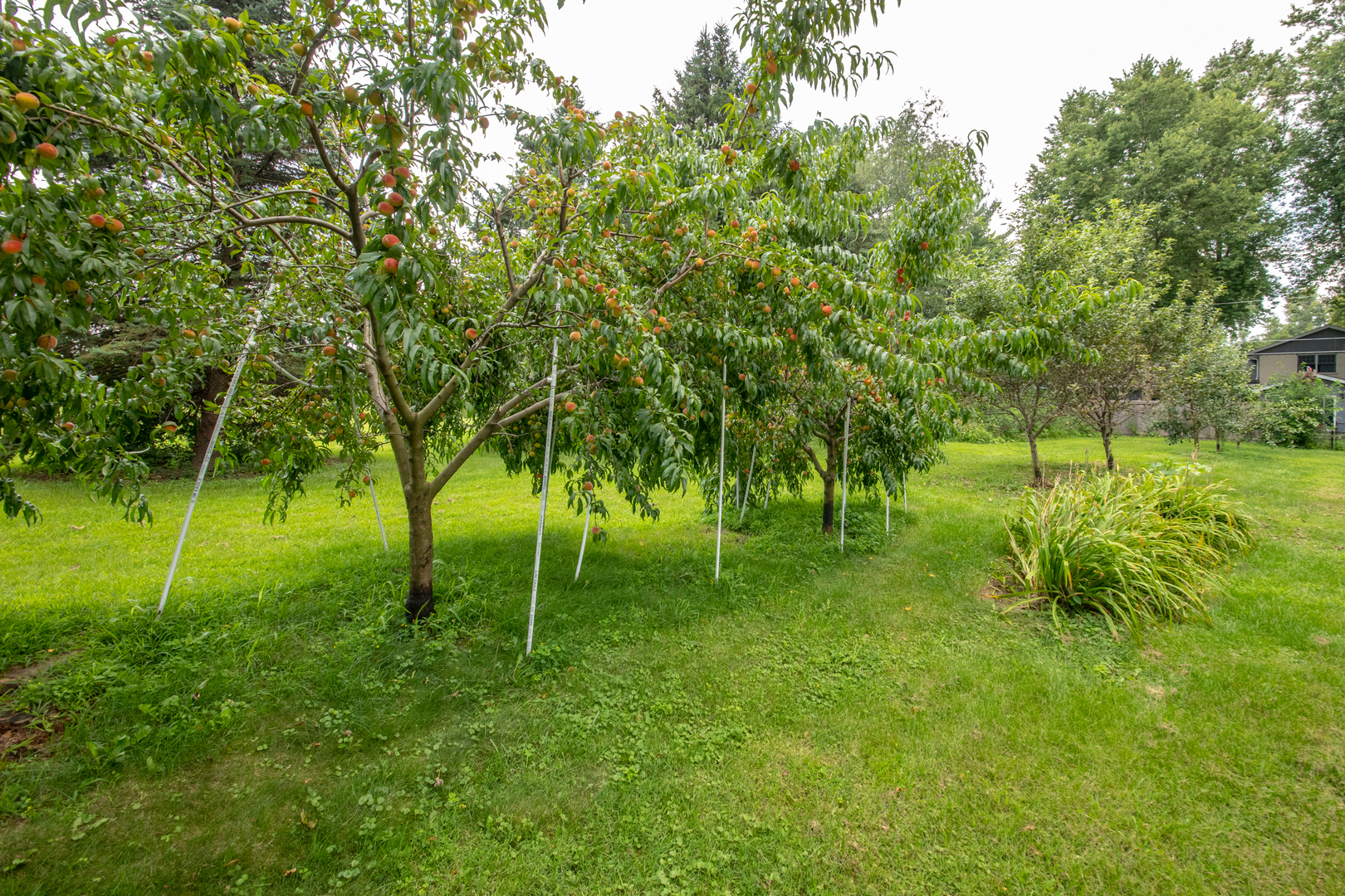 15717 S River Road, Plainfield, IL 60544