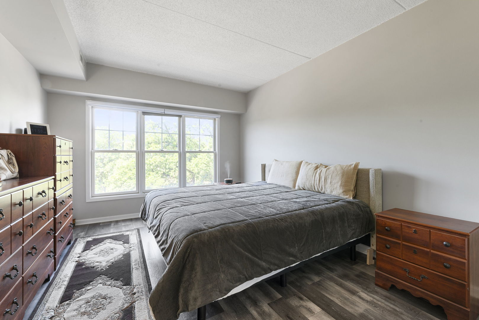 125 Lakeview Drive #406, Bloomingdale, IL 60108