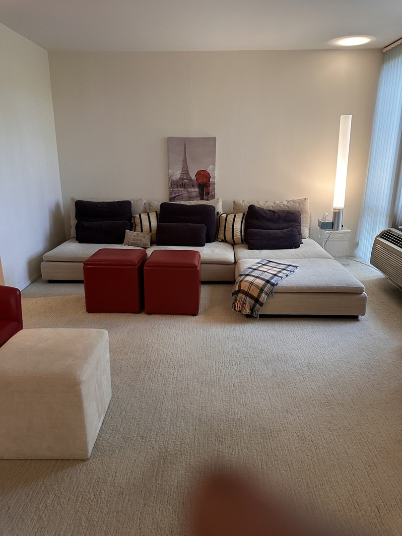 3021 S Michigan Avenue #311, Chicago, IL 60616