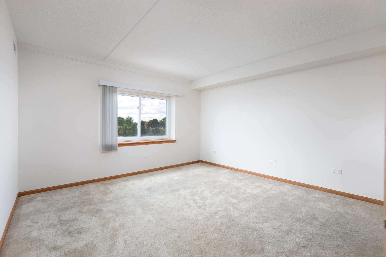 2020 Saint Regis Drive #509, Lombard, IL 60148