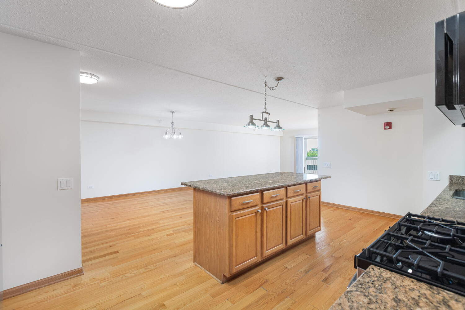 2020 Saint Regis Drive #509, Lombard, IL 60148