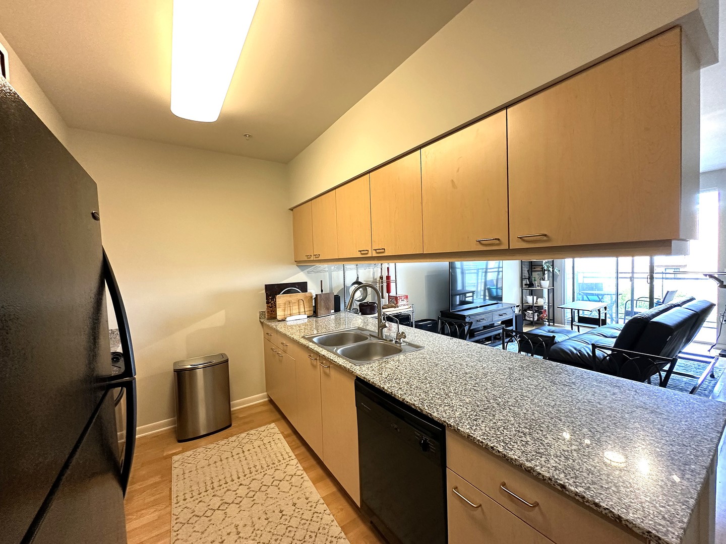 1720 Oak Avenue #706, Evanston, IL 60201