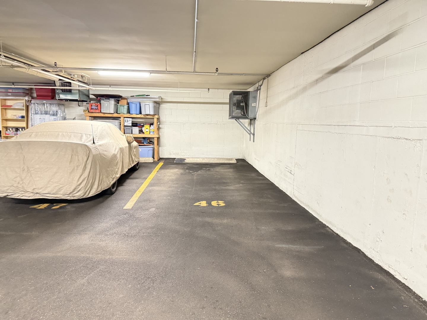 1200 W Northwest Highway #308, Mount Prospect, IL 60056