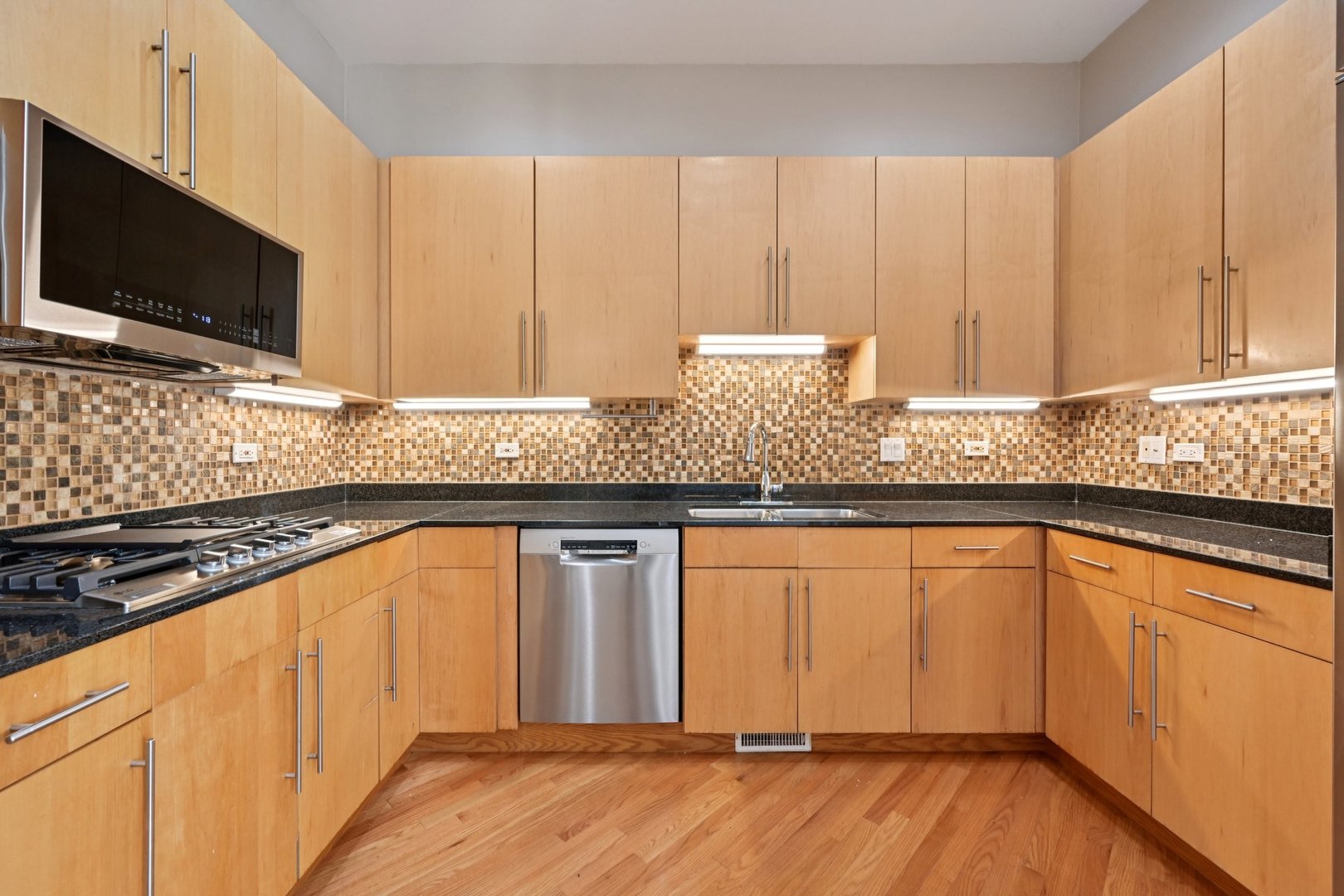 1341 S Indiana Avenue #D, Chicago, IL 60605