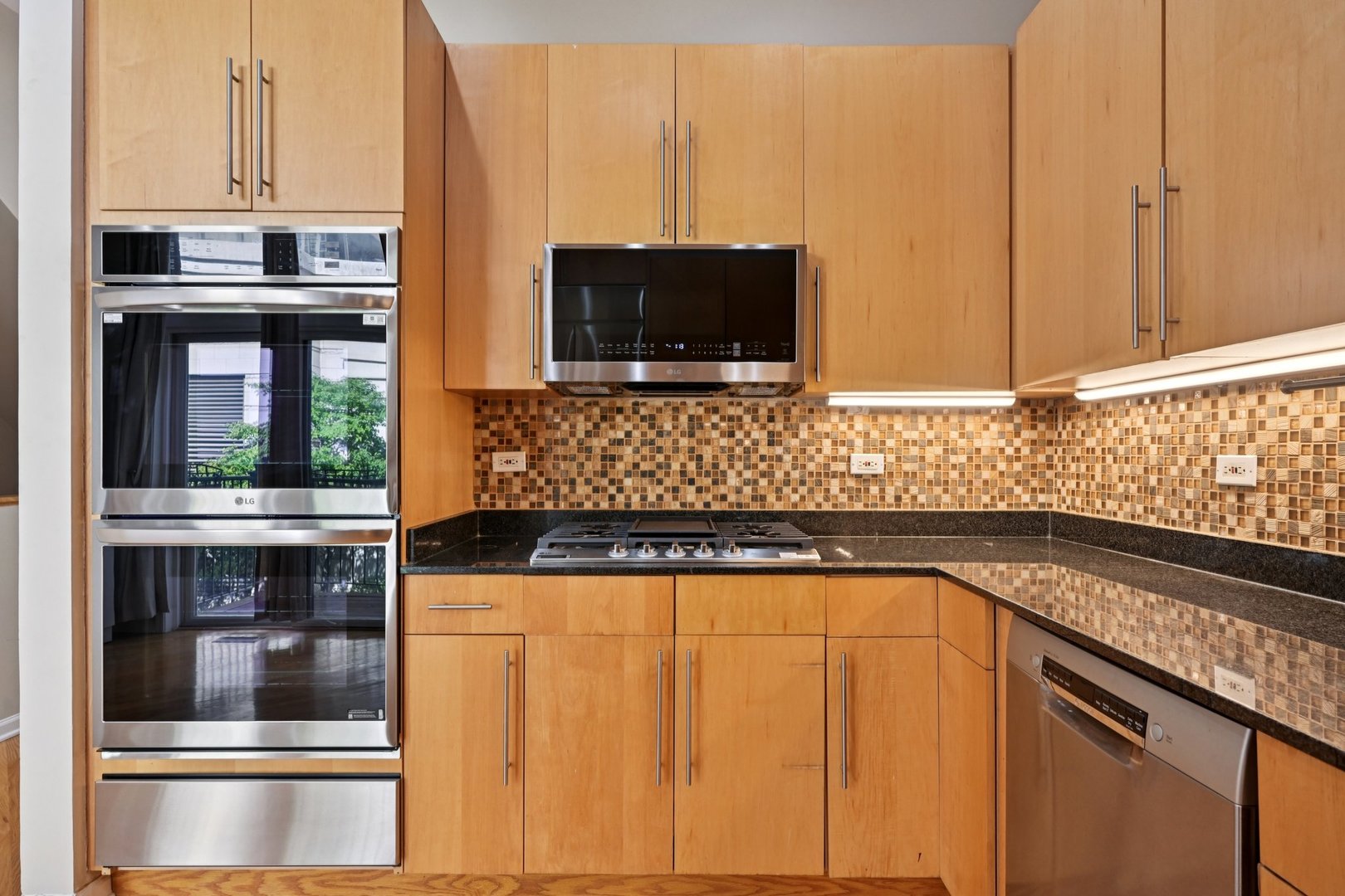 1341 S Indiana Avenue #D, Chicago, IL 60605