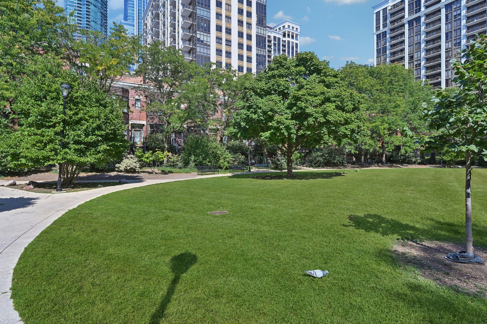 1341 S Indiana Avenue #D, Chicago, IL 60605