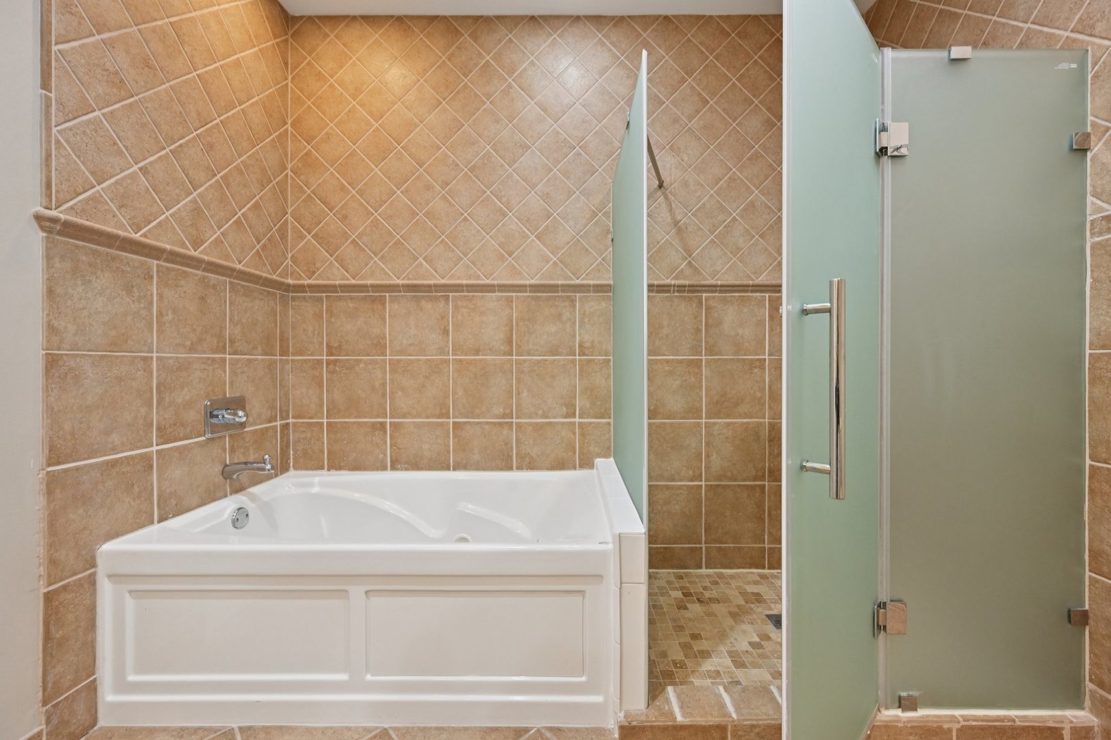 1341 S Indiana Avenue #D, Chicago, IL 60605