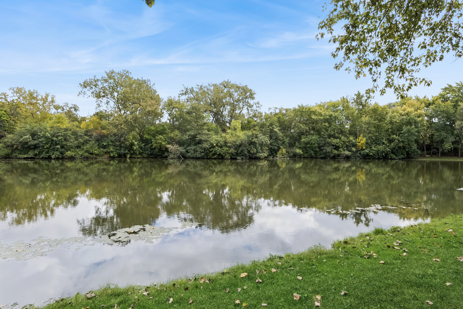 966 N Auburn Woods Drive, Palatine, IL 60067