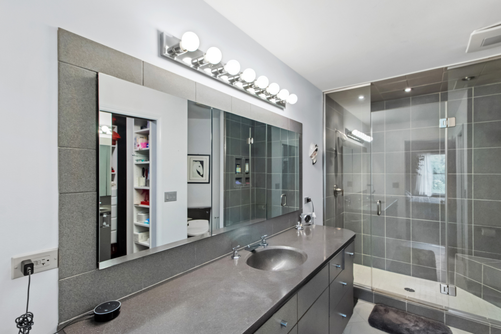 966 N Auburn Woods Drive, Palatine, IL 60067