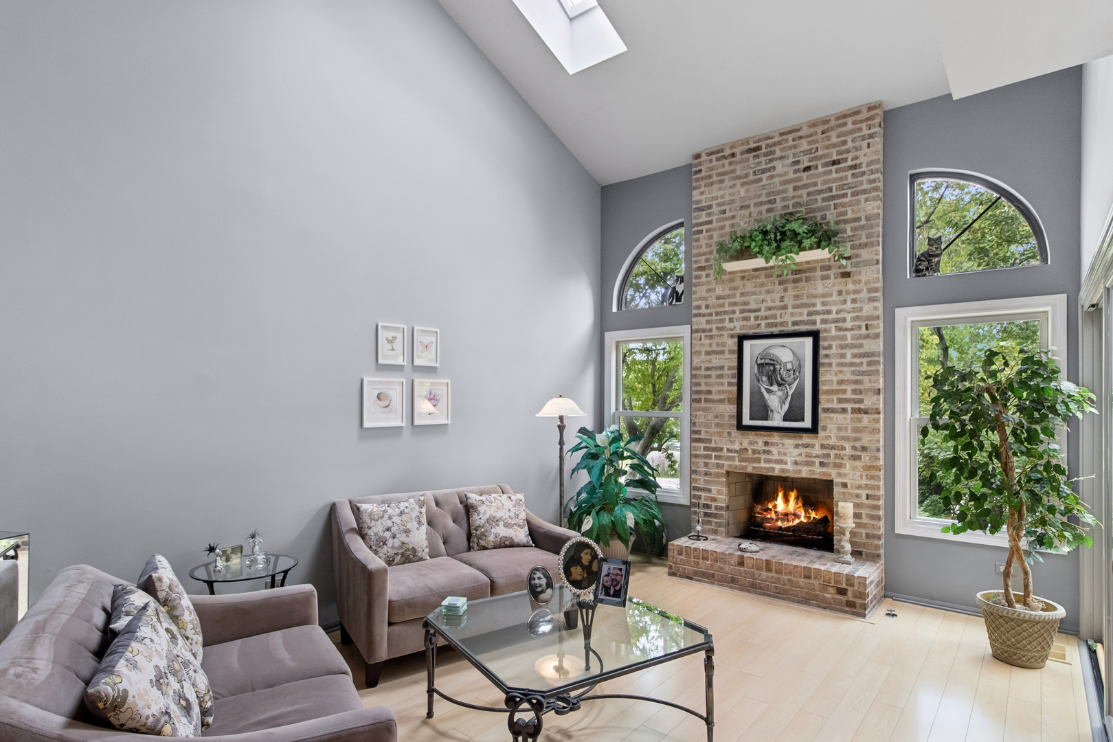 966 N Auburn Woods Drive, Palatine, IL 60067