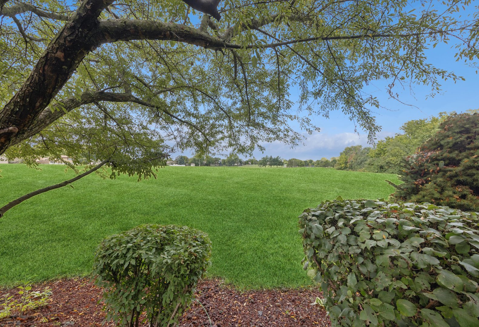 17396 Brook Crossing Lane, Orland Park, IL 60467