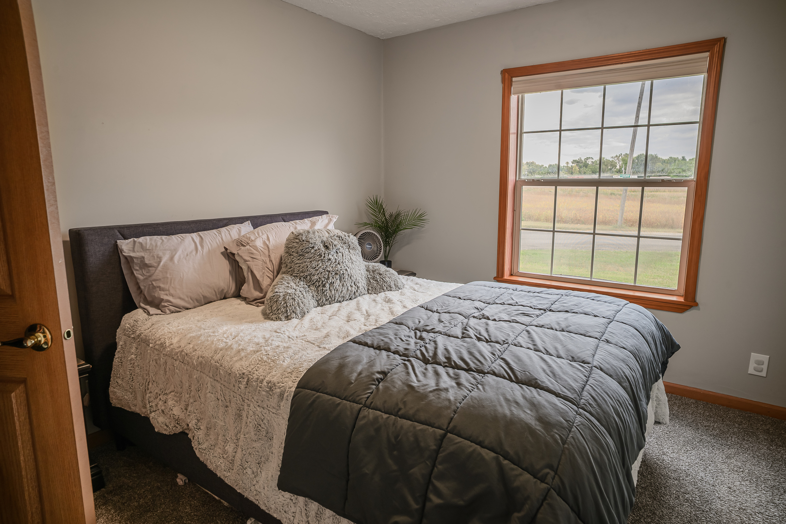 319 N Letcher Street, Chenoa, IL 61726