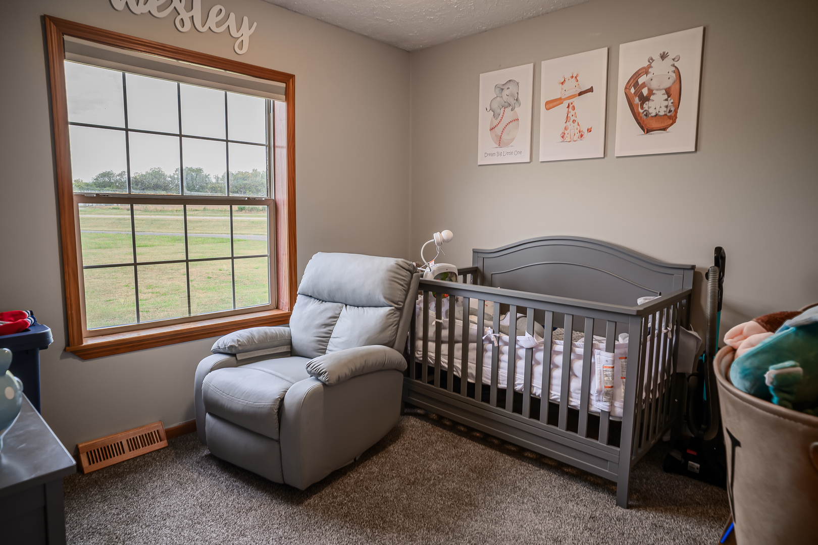 319 N Letcher Street, Chenoa, IL 61726