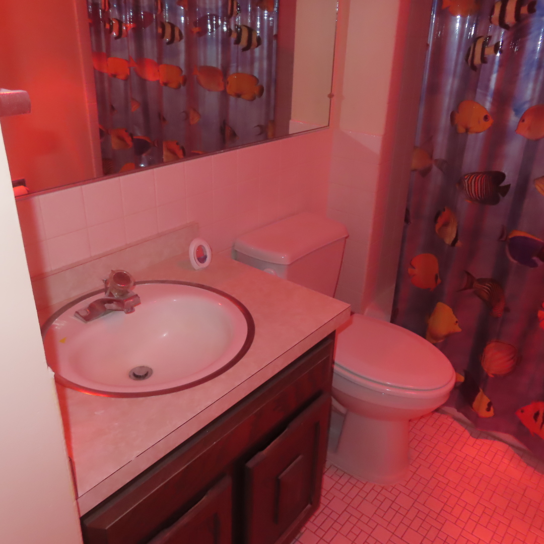 1855 Tanglewood Drive #F, Glenview, IL 60025