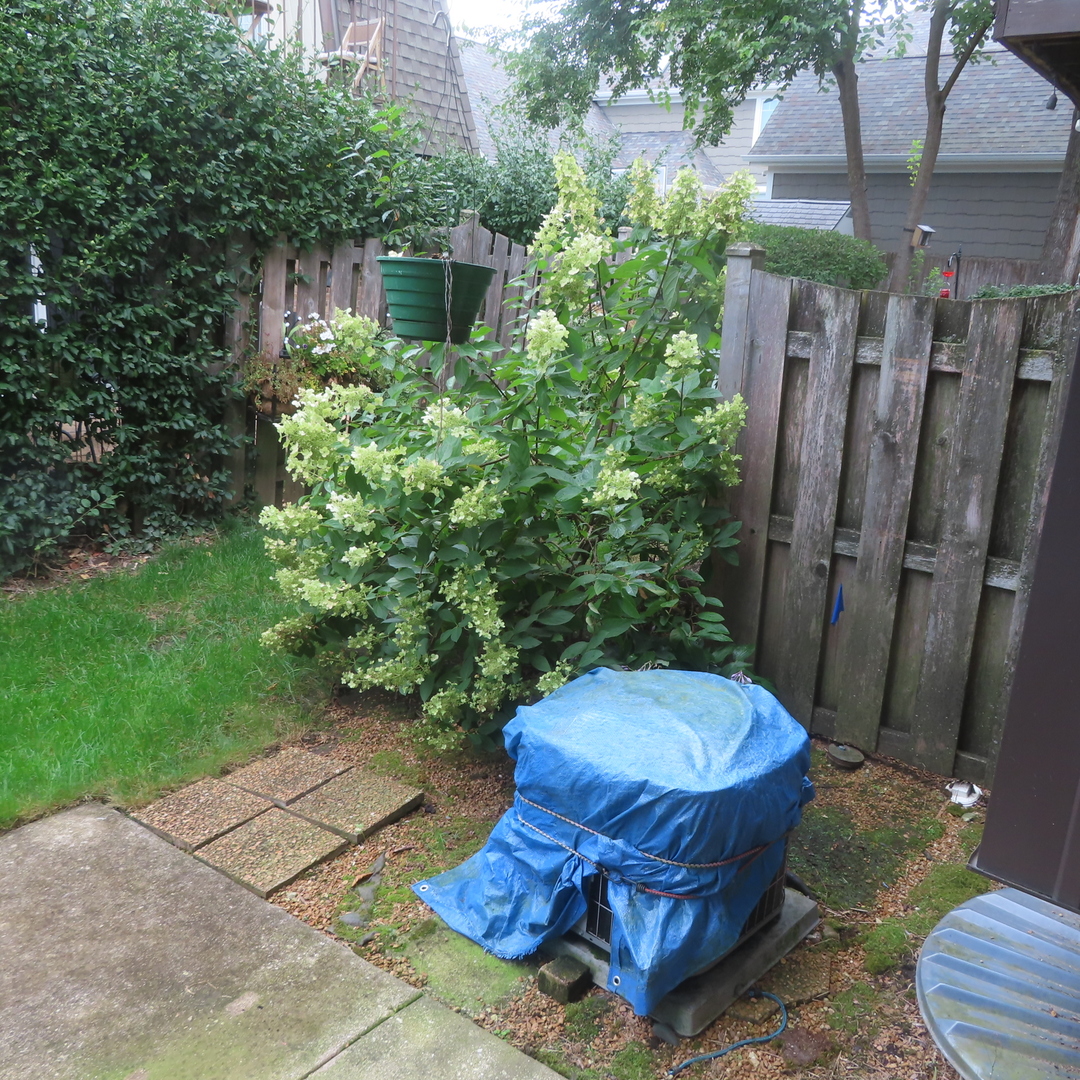 1855 Tanglewood Drive #F, Glenview, IL 60025