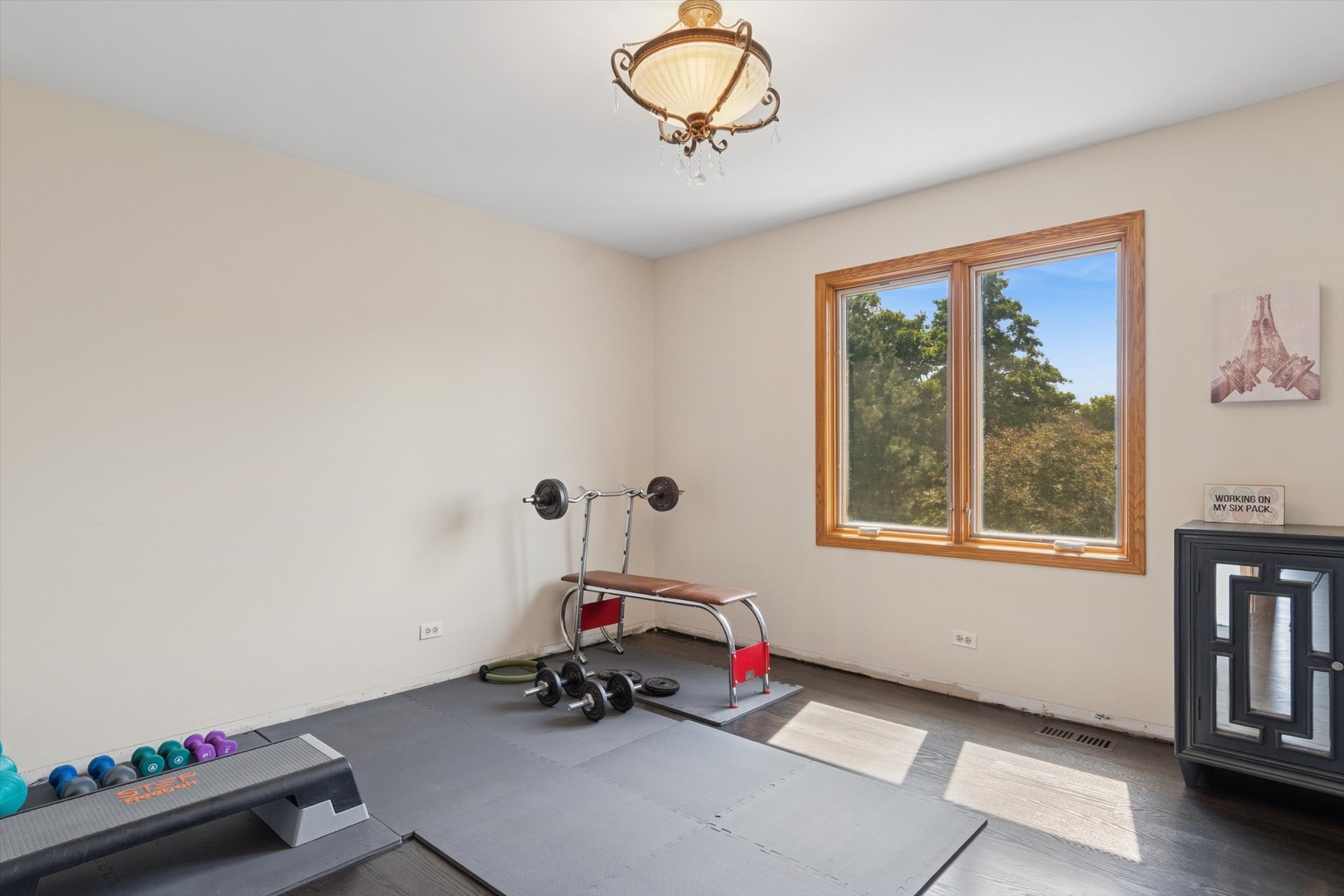 10526 Royal Porthcawl Drive, Naperville, IL 60564