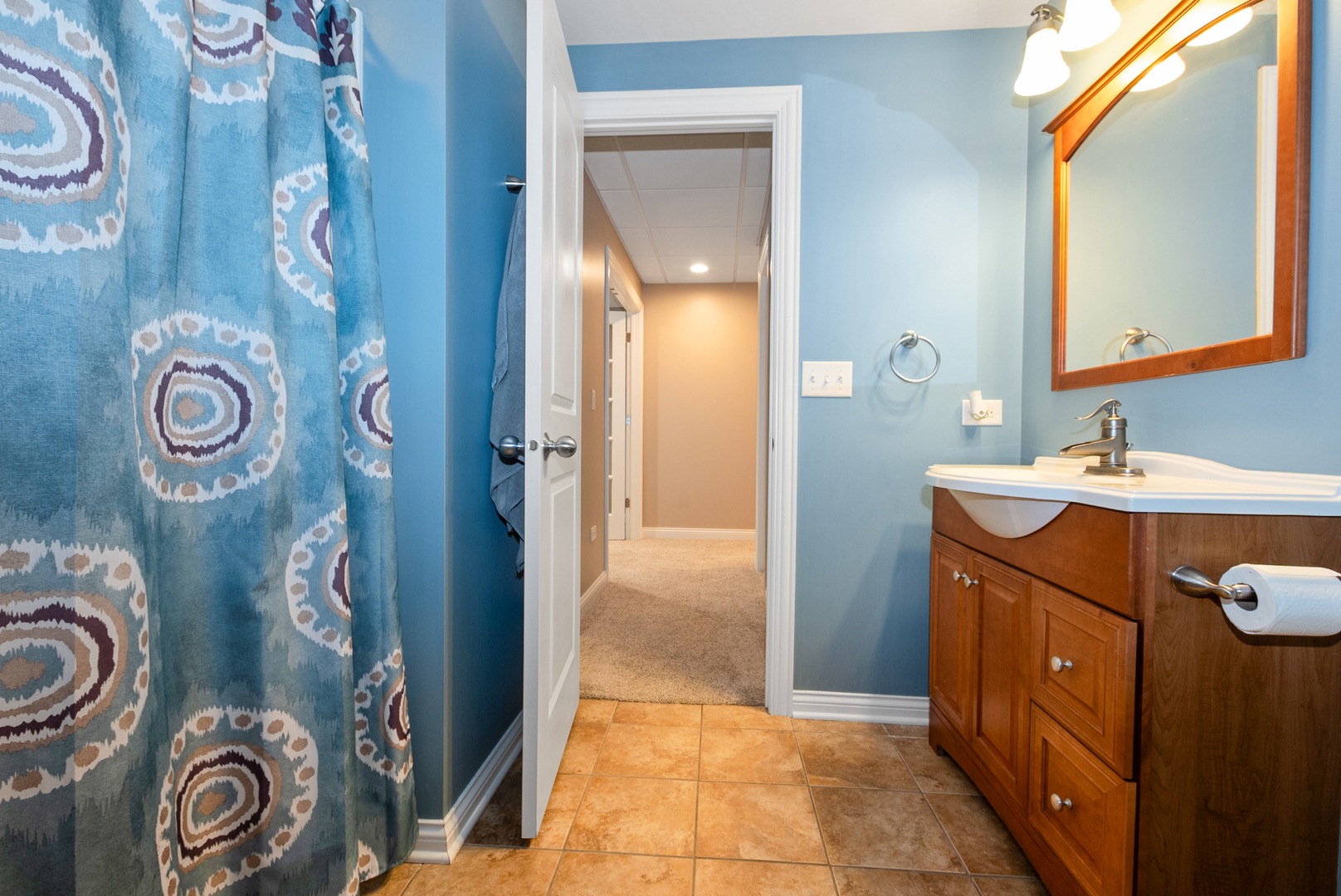 21466 English Circle, Frankfort, IL 60423