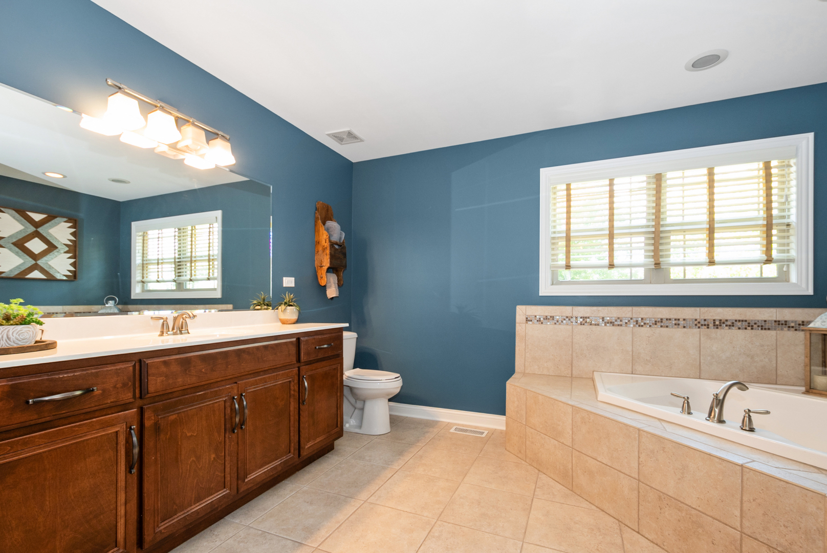 21466 English Circle, Frankfort, IL 60423