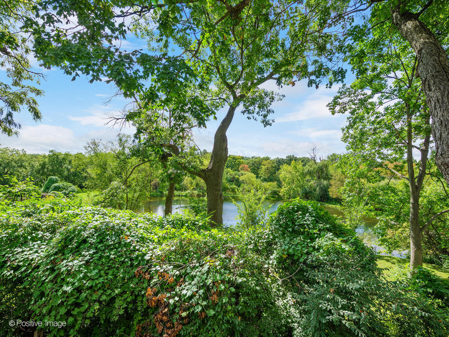 959 Watercress Drive, Naperville, IL 60540