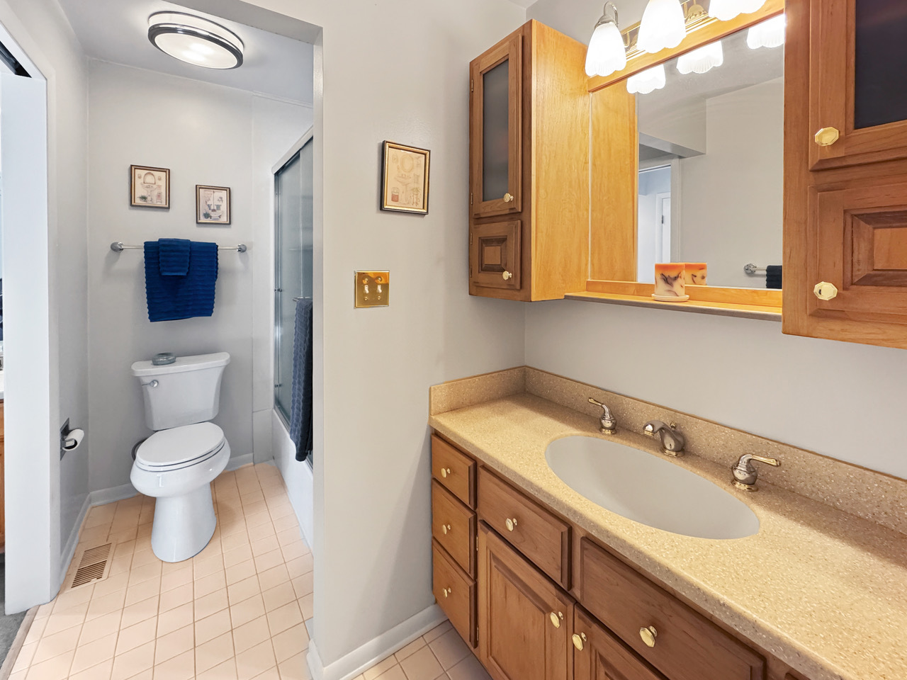 1028 Cumberland Court, Vernon Hills, IL 60061