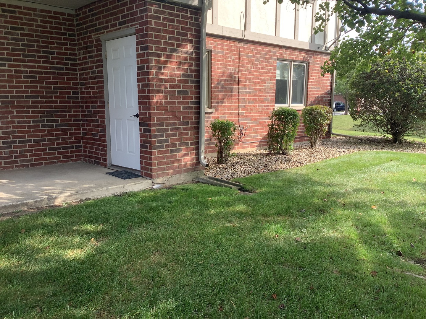 6241 MISTY PINES Drive #1, Tinley Park, IL 60477