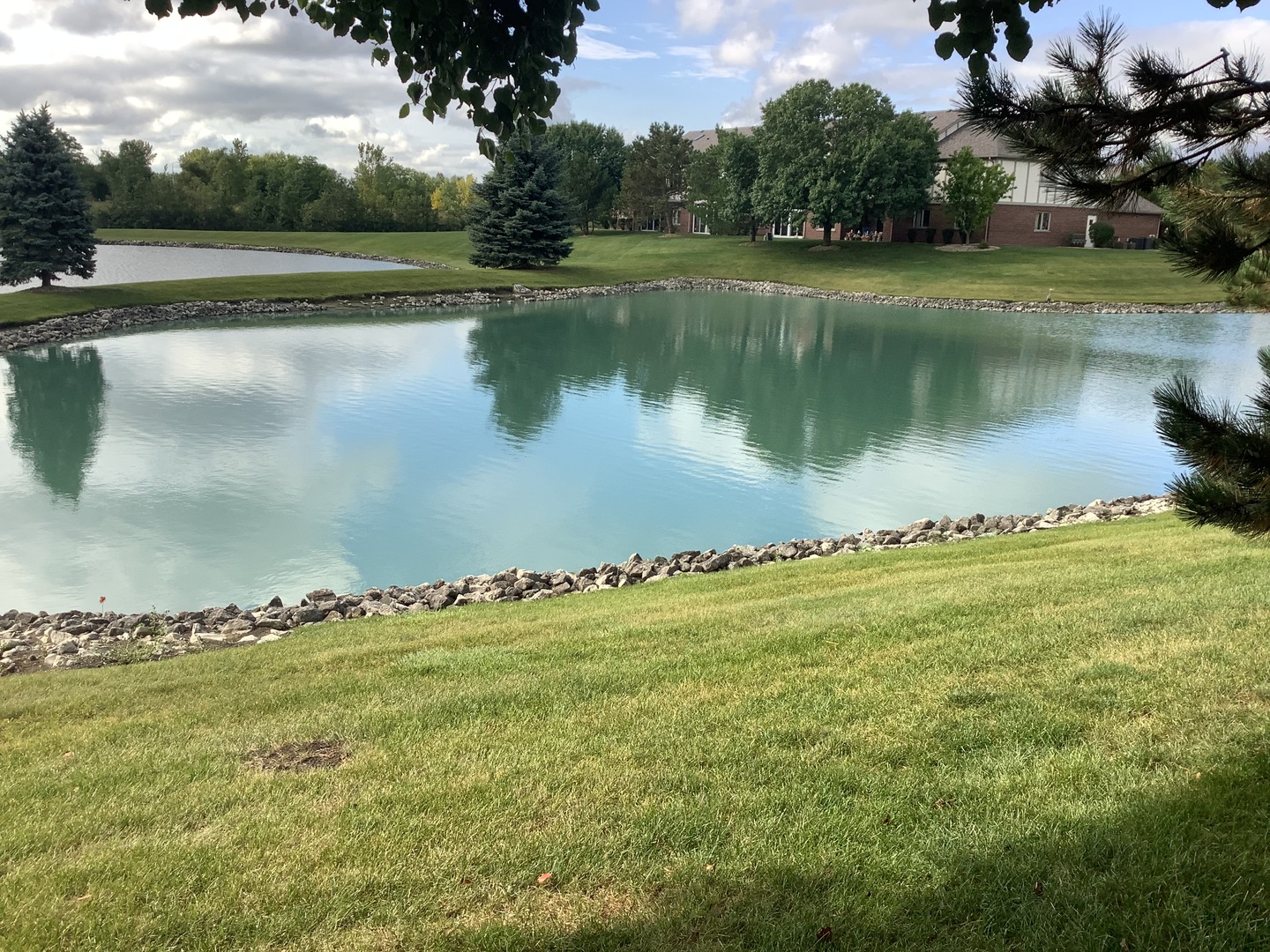 6241 MISTY PINES Drive #1, Tinley Park, IL 60477