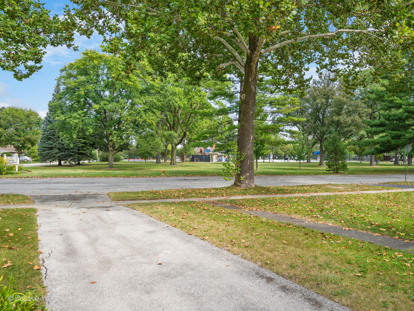 444 E Schiller Street, Elmhurst, IL 60126