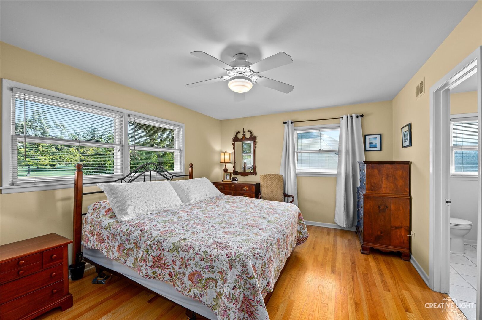 713 Burning Tree Lane, Naperville, IL 60563