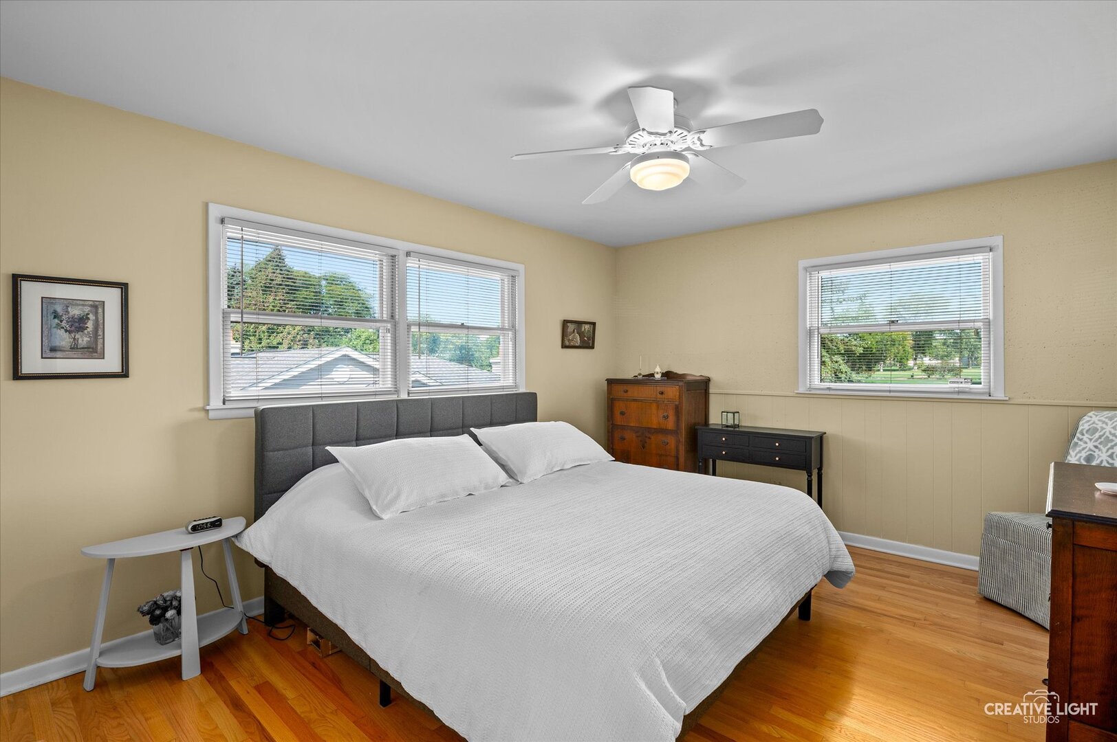 713 Burning Tree Lane, Naperville, IL 60563