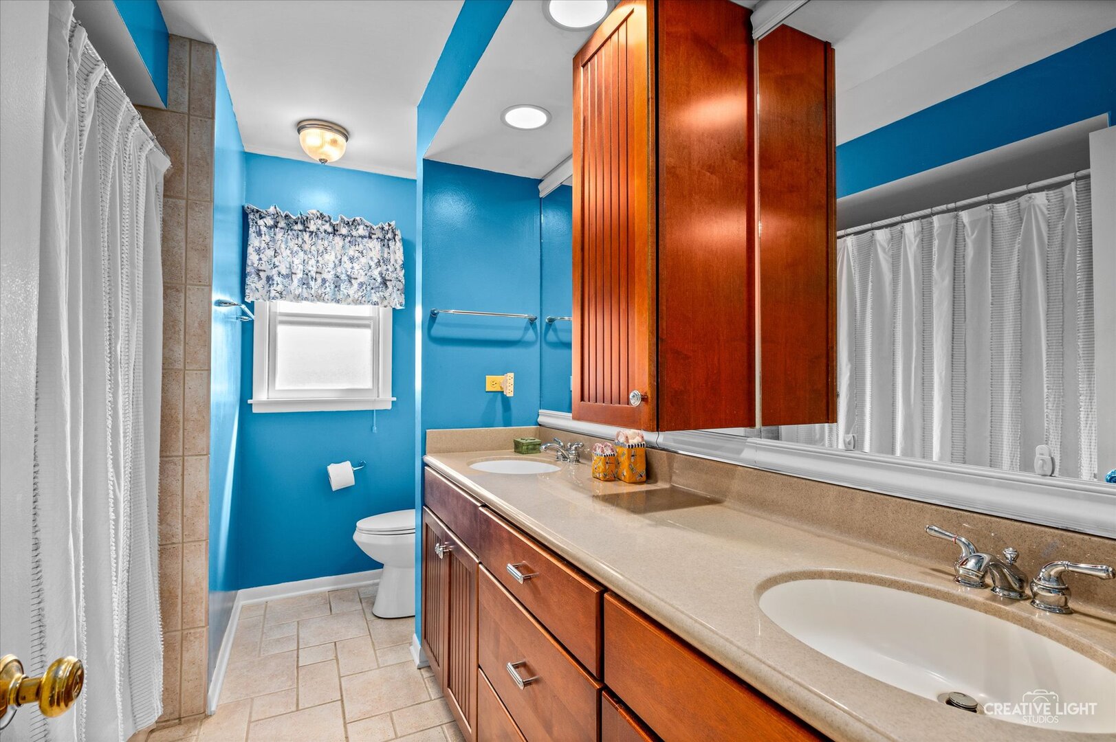 713 Burning Tree Lane, Naperville, IL 60563