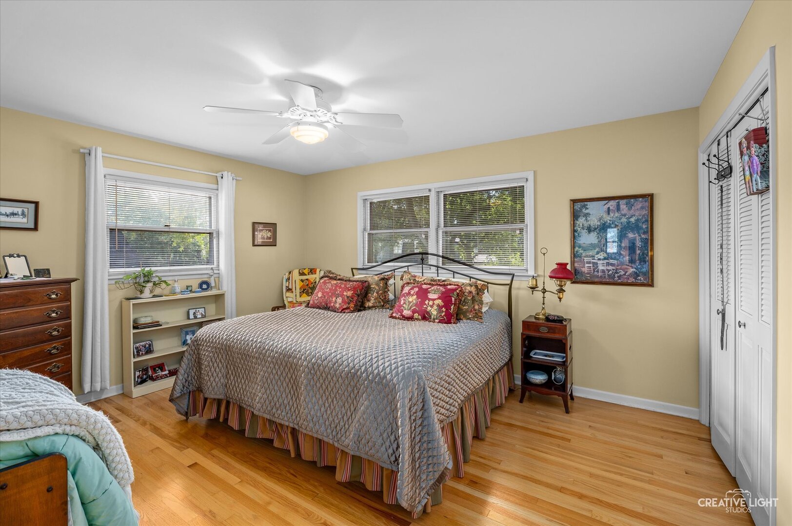 713 Burning Tree Lane, Naperville, IL 60563