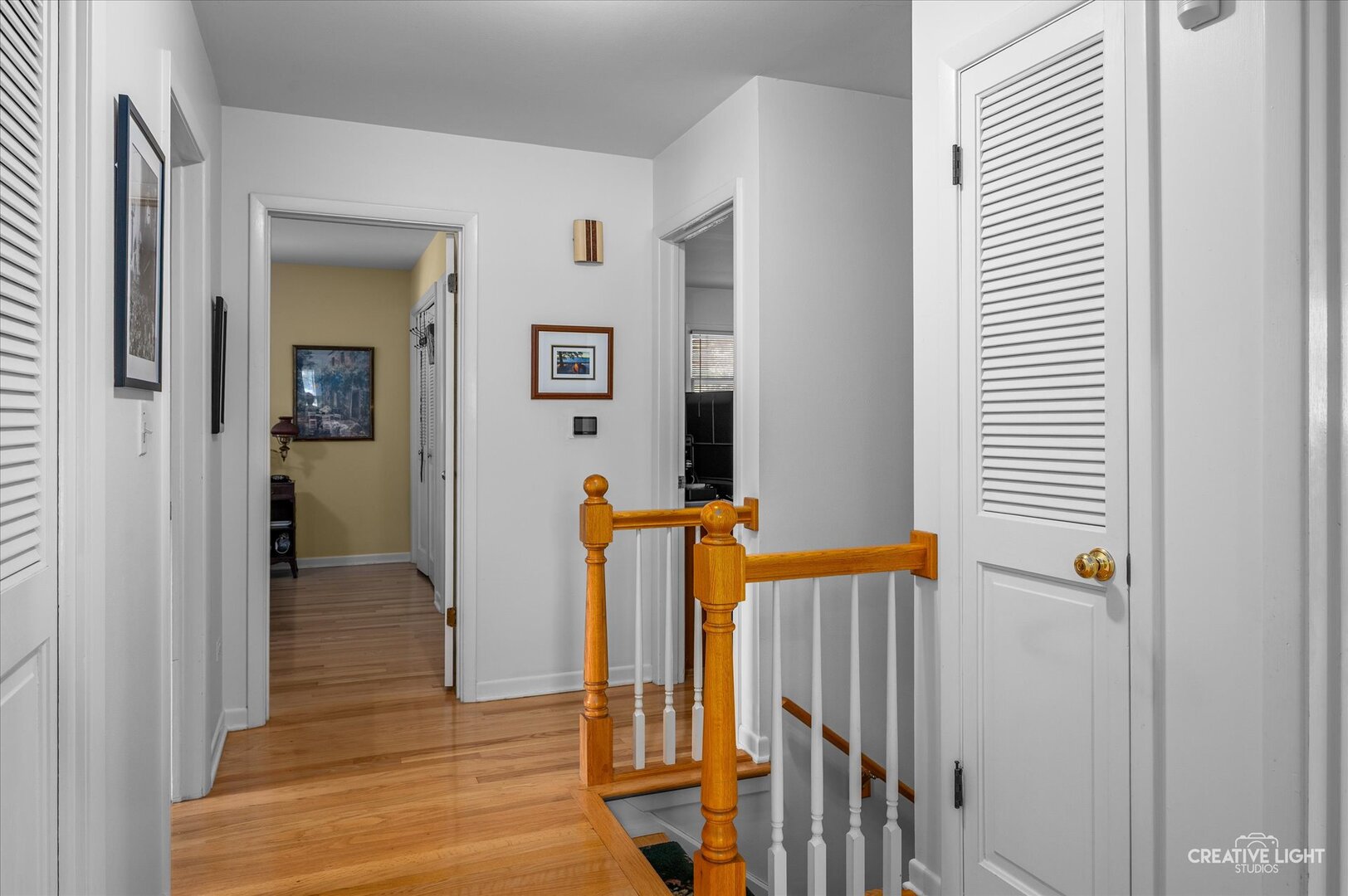 713 Burning Tree Lane, Naperville, IL 60563