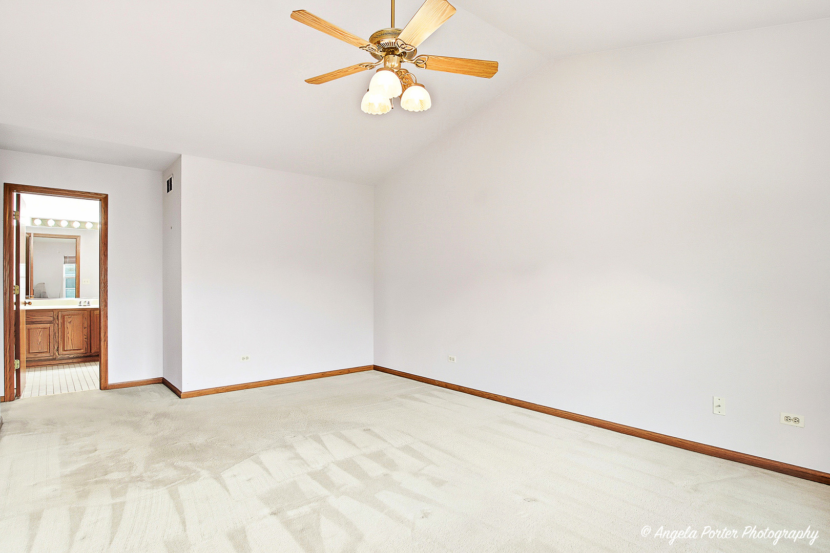 1632 Brighton Drive, Mundelein, IL 60060