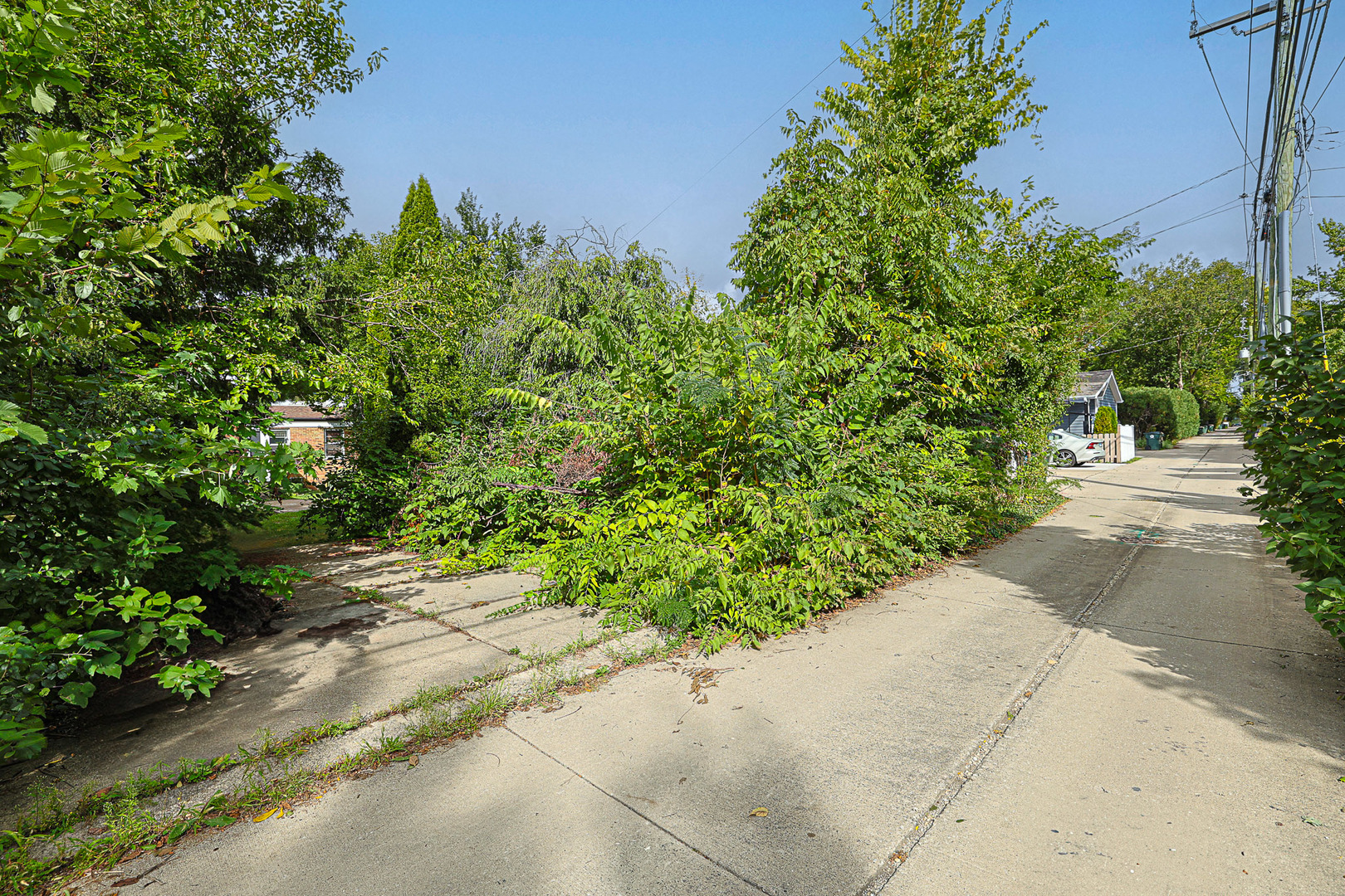 901 S Cumberland Avenue, Park Ridge, IL 60068