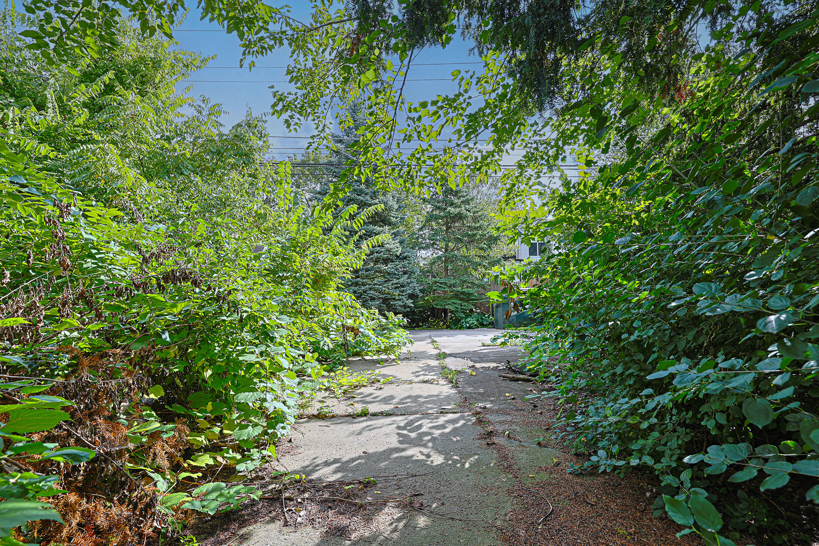 901 S Cumberland Avenue, Park Ridge, IL 60068