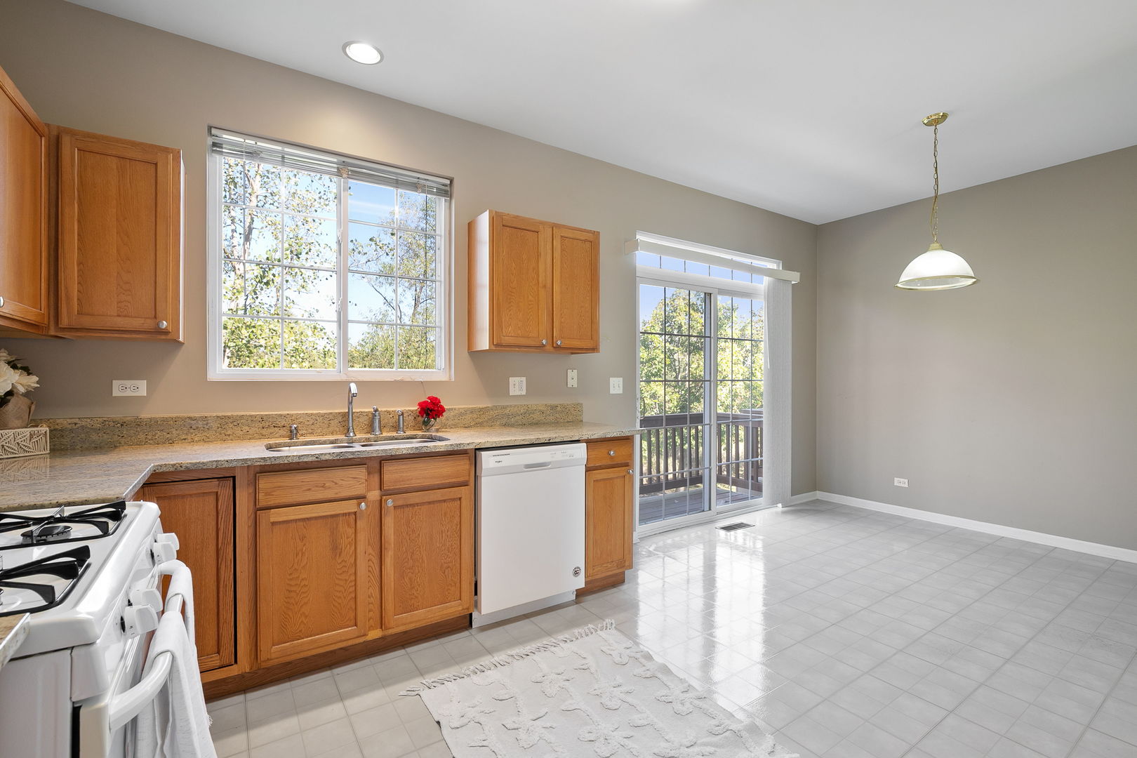42 village station Lane, Grayslake, IL 60030