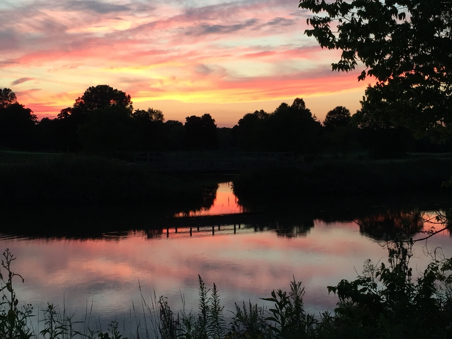 6420 Double Eagle Drive #403, Woodridge, IL 60517