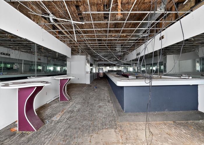 1114 W 51st Street, Chicago, IL 60609